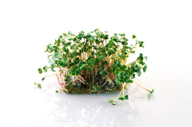 Beyaz arkaplanda yansıması olan yeşil turp mikroçipleri.