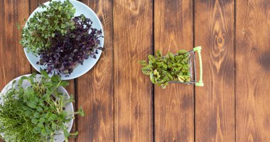 Ahşap arka planda alışveriş arabasında mikro yeşiller. Satılık farklı türde mikroyeşillikler. Sağlıklı yeme kavramı