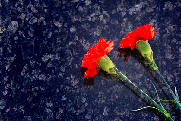 Надгробие с красной гвоздикой. Красная гвоздика была оставлена на надгробии на кладбище для человека, который умер. Цветок на мемориальном камне. Красная гвоздика на надгробии.