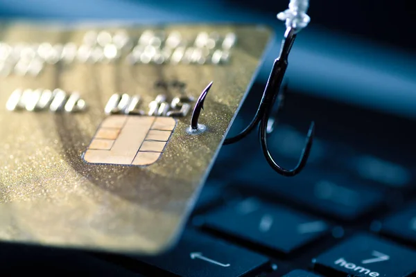 Internetbedrägeri Med Hjälp Datateknik Stöld Pengar Internet Stöld Kreditkortsuppgifter Krok — Stockfoto
