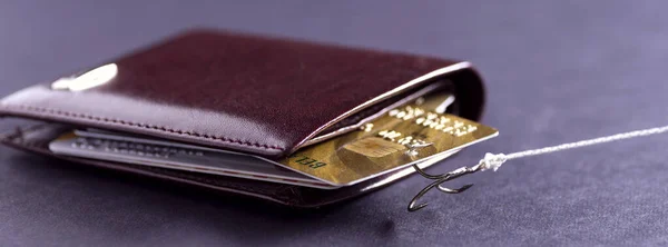 Fiskespökrok Tog Ett Kreditkort Min Plånbok Stöld Data Från Kreditkort — Stockfoto