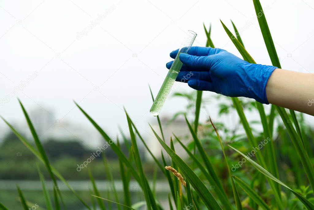 A gloved hand collects water into a test tube. Sampling from open water. Scientist or biologist takes a sample of water in a test tube.