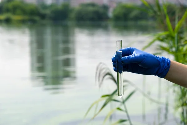 Una Mano Guantata Porta Acqua Una Provetta Serbatoio Cittadino Acque — Foto Stock