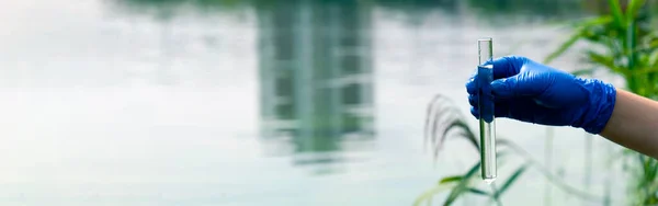 Eldivenli bir el test tüpüne su toplar. Şehrin su kaynağındaki açık sudan örnek almak. Bilim adamı ya da biyolog, bir şehir manzarasının arka planına karşı test tüpünde su örneği alıyor..