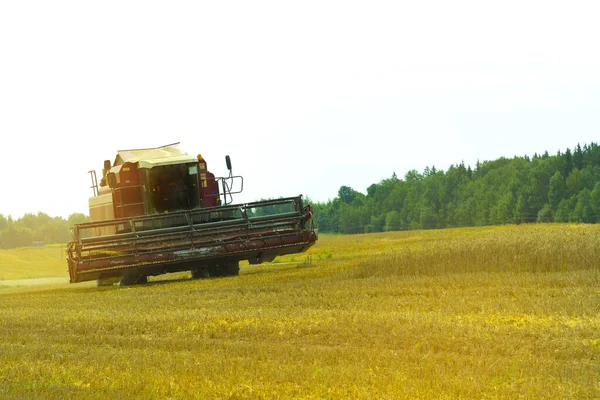 Harvester Harvests Cereals Field Cleaning Cereals — Stock Photo, Image