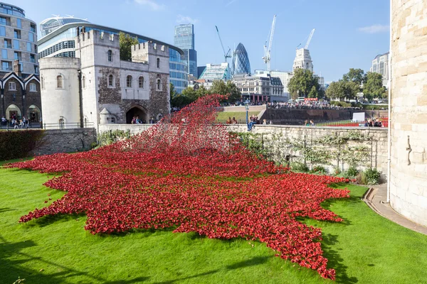 Poppies bij de Tower of London — Stockfoto