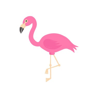 Flamingo vektör şirin illüstrasyon. Pembe flamingo kuşu ayakta duruyor. El çizimi flamingo simgesi, çıkartma. İzole edilmiş.