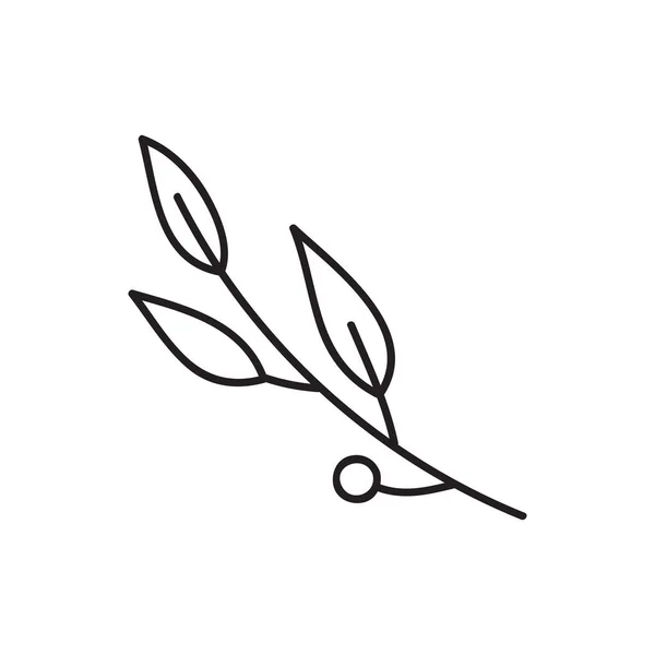 Векторная Иллюстрация Ветвей Симпатичная Простая Ветка Нарисованной Руки Иконкой Черным — стоковый вектор