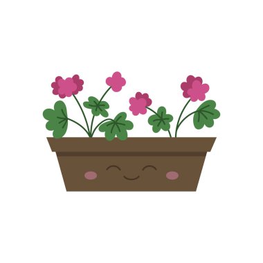 Sardunya vektör illüstrasyonlu mutlu çiçek kutusu. Saksıda Pelargonium pembe çiçek, saksı. Yüzü olan şirin bir pencere kutusu. İzole edilmiş.