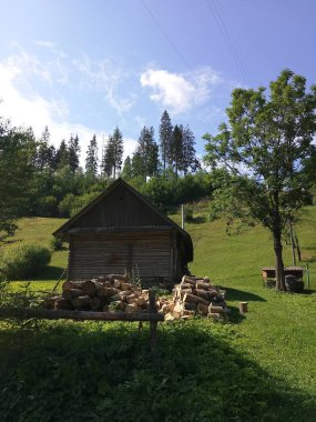     Carpatian dağlarında bir ev