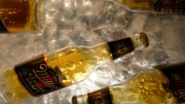 Cámara lenta la botella de cerveza se toma del hielo — Vídeos de Stock