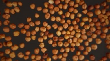 Siyah arka planda uçan fındıklı yavaş çekim