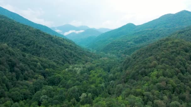Drone skott av ett berg med skog i Sotji på sommaren — Stockvideo