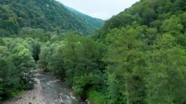 Yazın Soçi 'de nehrin altında çimen olan dağların insansız hava aracı çekimi.