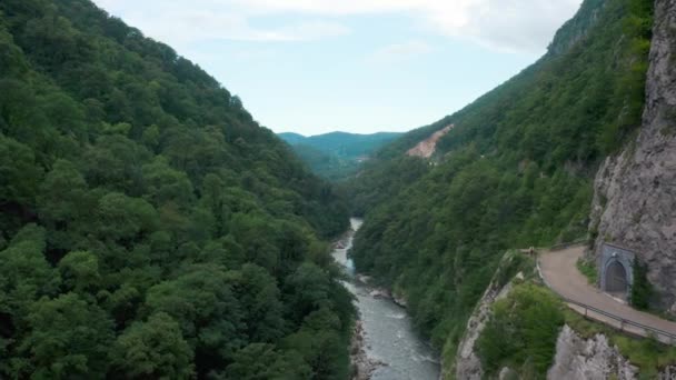 Drone brote de una montaña con hierba bajo el río en Sochi en verano — Vídeo de stock