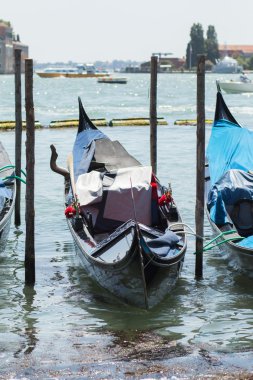 Venedik gondol büyük kanal üzerindeki ile