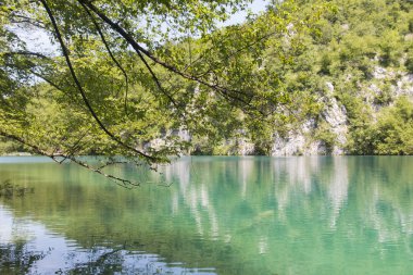 Plitvice Gölleri Milli Parkı, Hırvatistan güzel şelaleler görünümünü yaz