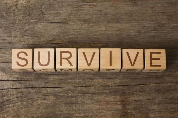 La palabra de SURVIVE en cubos de madera — Foto de Stock