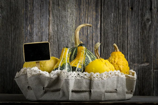 Calabazas sobre fondo de madera —  Fotos de Stock