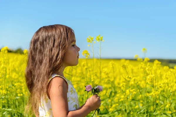 Retrato de una niña en campo de colza —  Fotos de Stock