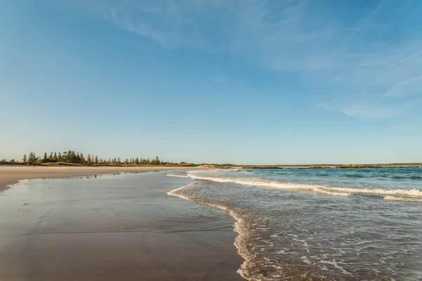 Saras havet kusten — Stockfoto