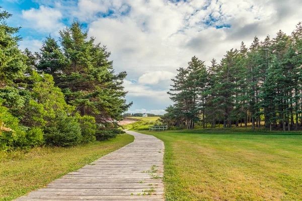 Boardwalk Sallys Beach Provincial Park Beach — Stock fotografie