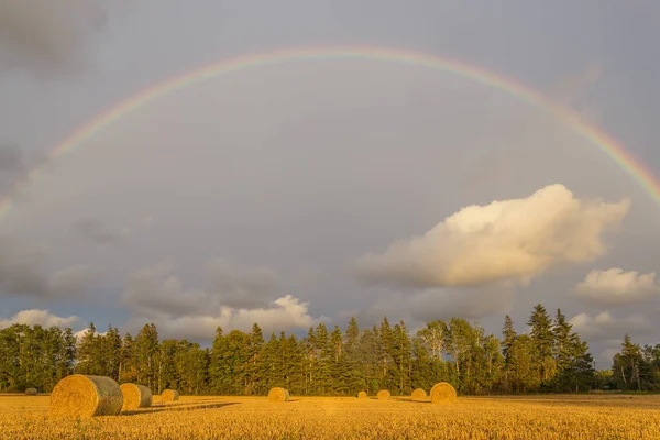 Scenic View Hay Stacks Sunny Day Prince Edward Island Canada — Stock Photo, Image