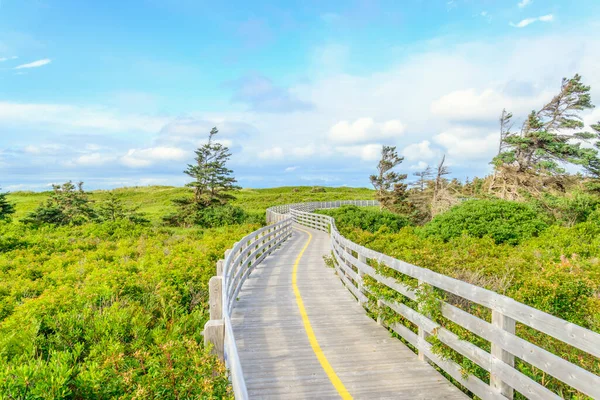 Greenwich Beach Boardwalk Prince Edward Island Canadá — Fotografia de Stock