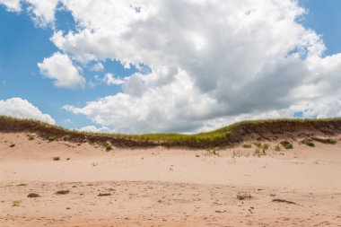 brackley Beach kumulları