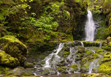 Dickson falls (yavaş çekim hızı)