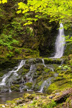 Dickson falls (yavaş çekim hızı)