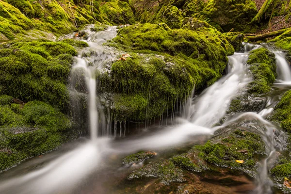 Yakın çekim küçük Creek Park (yavaş çekim hızı) — Stok fotoğraf