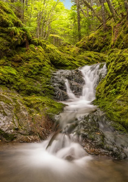 Kleiner Wasserfall im Park (langsame Belichtungszeit) — Stockfoto