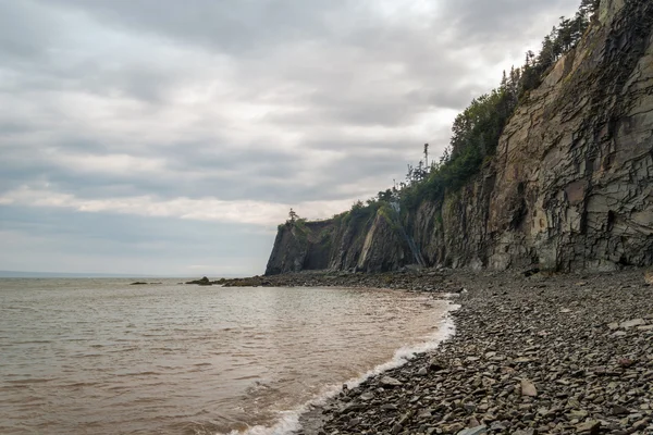 Cliifs of Cape Enrage a lo largo de la Bahía de Fundy —  Fotos de Stock