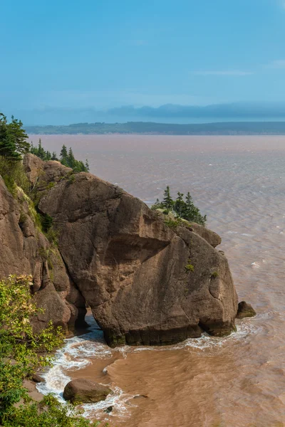 Flower pot skalní útvary v hopewell rocks — Stock fotografie