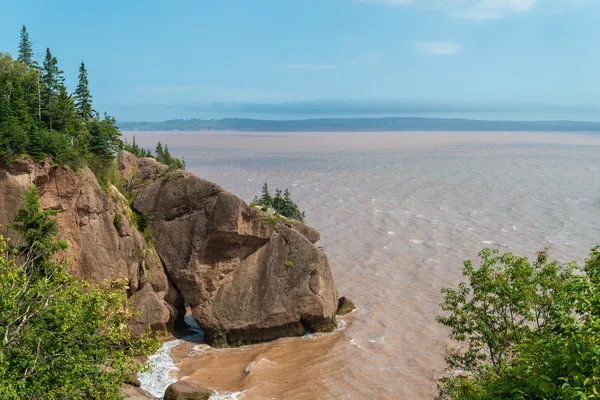 Flower pot skalní útvary v hopewell rocks — Stock fotografie