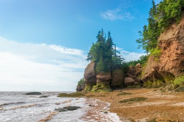 ünlü hopewell saksı oluşumları düşük gelgit kayalar