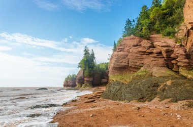 Famous Hopewell Rocks flowerpot formations at low tide clipart