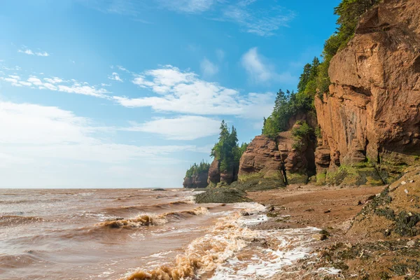 Famosas formações de vaso de flores Hopewell Rocks na maré baixa — Fotografia de Stock