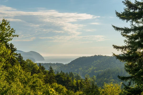 Beautiful view Fundy Shore scenery from Dickson Falls Trail look — Stock Photo, Image