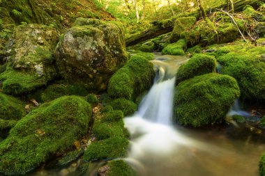 Üçüncü kasa falls yakınındaki küçük orman Stream yakın çekim