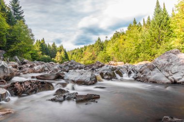 geniş nehir boyunca geyik boynuzu iz