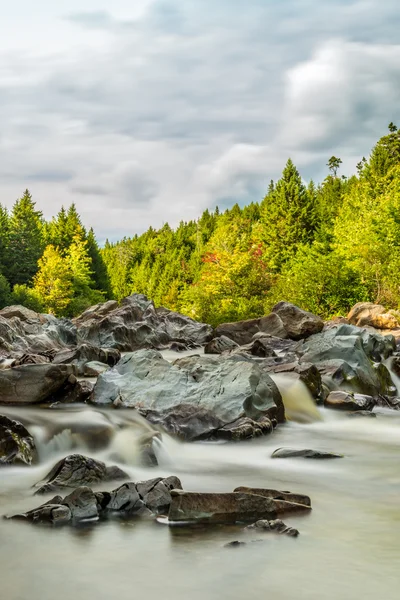 Geyik boynuzu trail geniş nehir — Stok fotoğraf