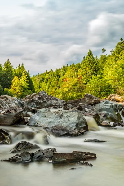 Sentier Moose Horn Broad River — Photo