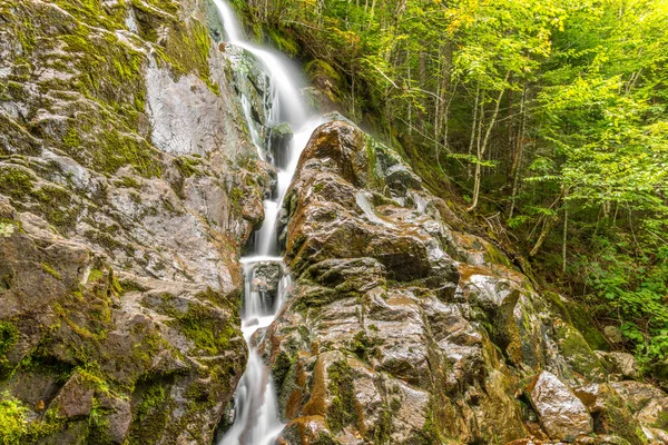 Älg horn trail hösten — Stockfoto