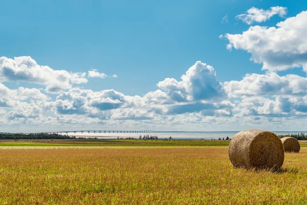 Hay bales on a farm along the ocean with the Confederation Bridg — Stock Photo, Image