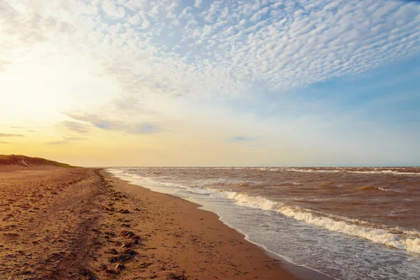 Plaja oceanului dimineața — Fotografie, imagine de stoc