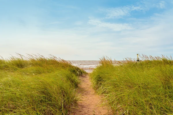 Sendero de arena sobre dunas con hierba de playa —  Fotos de Stock