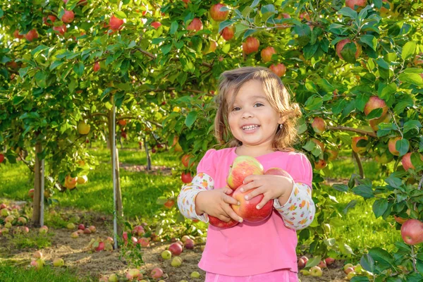 可爱的小女孩，在与苹果的花园里 — 图库照片