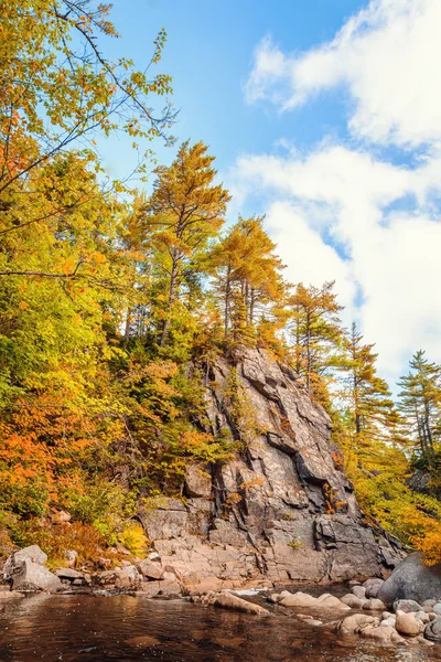 Árvores crescendo em rochas acima do córrego — Fotografia de Stock